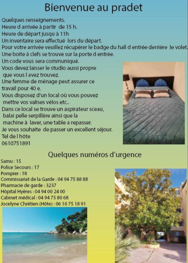 Les Roches Bleues Daire Le Pradet Dış mekan fotoğraf